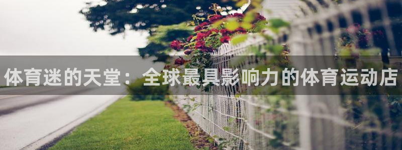 米兰体育官网下载注册：体育迷的天堂：全球最具影响力的