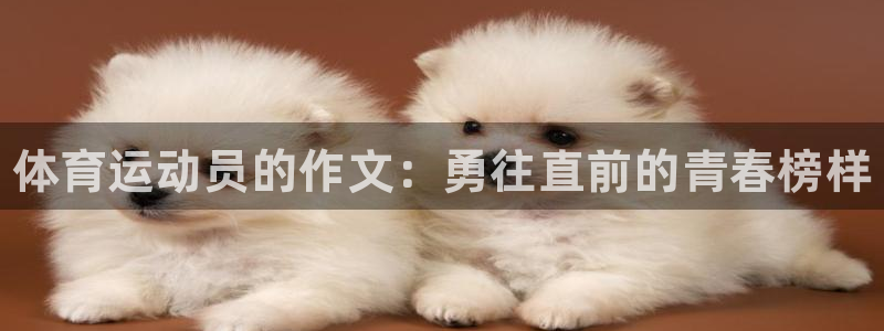 米兰体育官网下载联系电话：体育运动员的作文：勇往直前