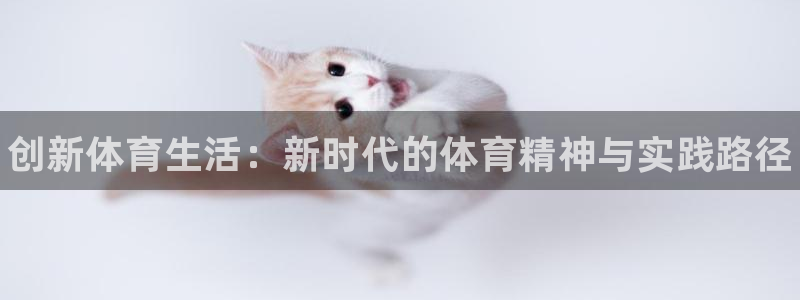 米兰体育官方正版app娱乐40996