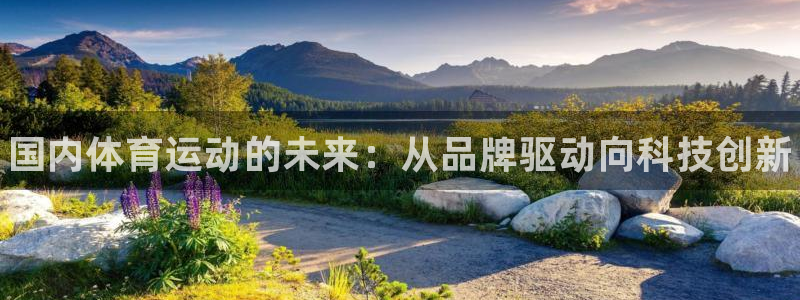 米兰体育官方正版app娱乐40996：国内体育运动的未来：从