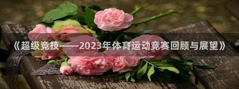 米兰体育官方正版app娱乐网站：《超级竞技——2023年体育