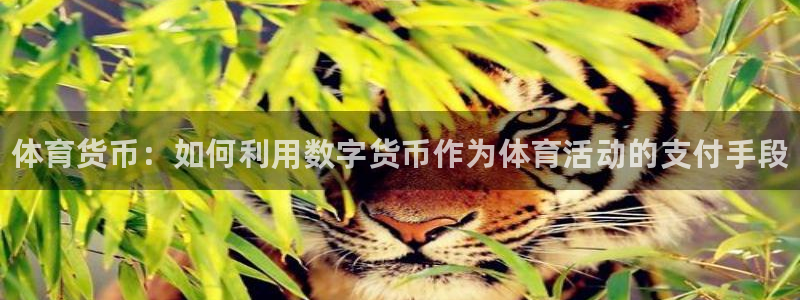 米兰体育官方正版app娱乐网站：体育货币：如何利用数