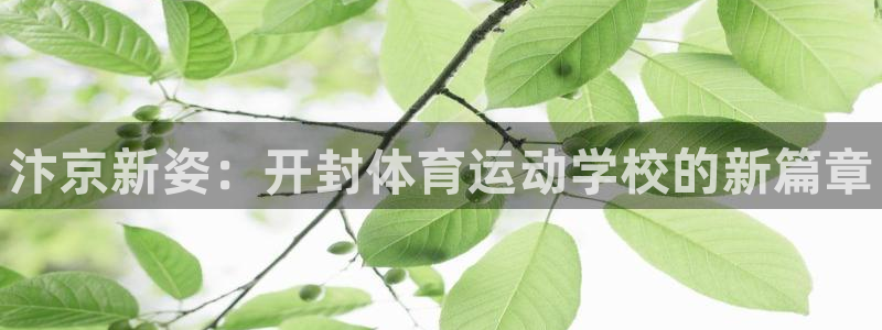 米兰体育官网下载注册：汴京新姿：开封体育运动学校的新
