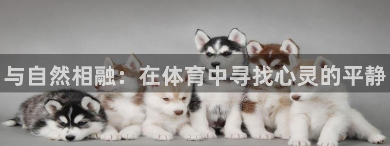 米兰体育官方正版app娱乐下载：与自然相融：在体育中寻找心灵