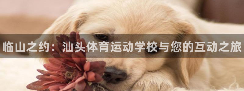 米兰体育官方正版app娱乐平台：临山之约：汕头体育运动学校与