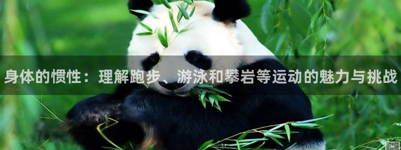 米兰体育官方平台体育：身体的惯性：理解跑步、游泳和攀岩等运动