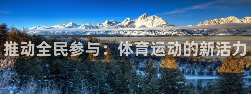 米兰体育官方集团官网：推动全民参与：体育运动的新活力