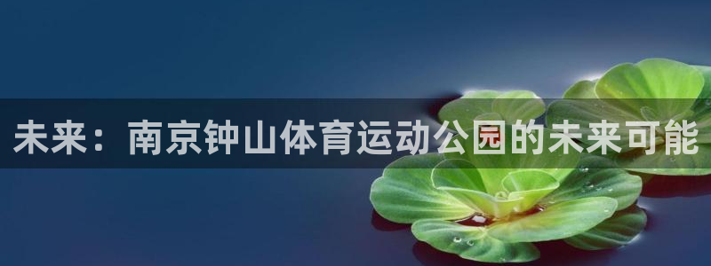 米兰体育官网下载注册：未来：南京钟山体育运动公园的未来可能
