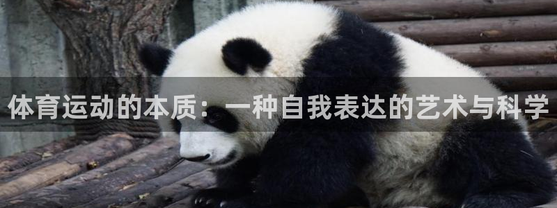 米兰体育官网下载平台注册：体育运动的本质：一种自我表达的艺术