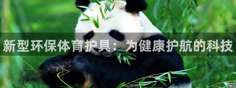 米兰体育官网下载平台注册要钱吗安全吗：新型环保体育护