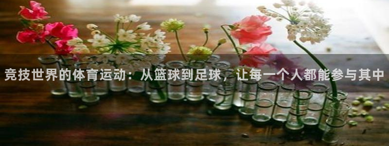 米兰体育官方正版app娱乐平台：竞技世界的体育运动：