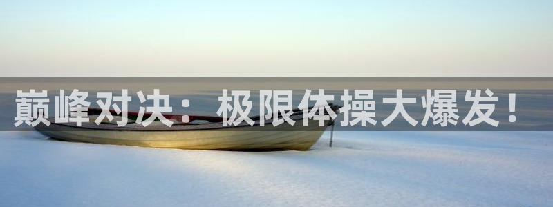 米兰体育官方正版app娱乐代理怎么样：巅峰对决：极限