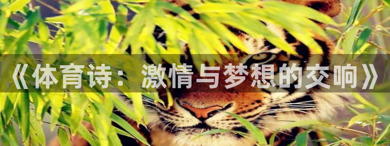 米兰体育官网下载平台注册：《体育诗：激情与梦想的交响