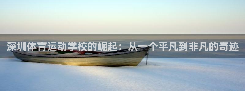 米兰体育官方正版app新能源：深圳体育运动学校的崛起