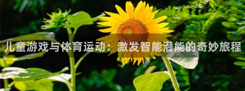 米兰体育官网下载招商电话地址是多少：儿童游戏与体育运