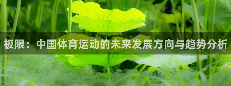 米兰体育官方正版app娱乐下载：极限：中国体育运动的