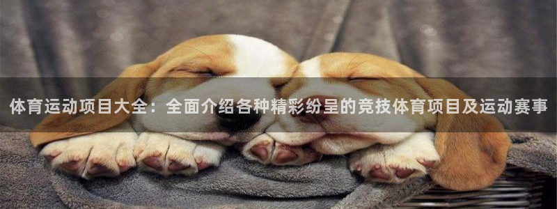 米兰体育官网下载注册：体育运动项目大全：全面介绍各种
