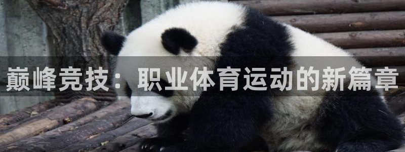 米兰体育官网下载平台注册要钱吗：巅峰竞技：职业体育运