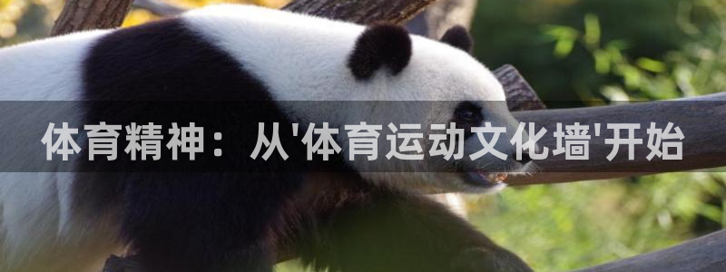 海南米兰体育官网下载：体育精神：从\'体育运动文化墙\'开始