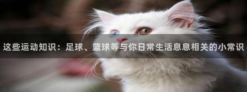 米兰体育官方正版app官方：这些运动知识：足球、篮球等与你日