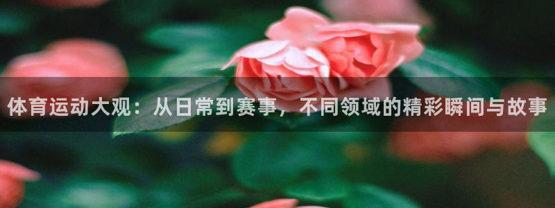 米兰体育官网下载联系电话：体育运动大观：从日常到赛事，不同领