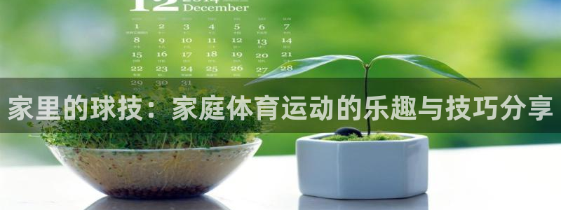 米兰体育官方正版app代理：家里的球技：家庭体育运动的乐趣与