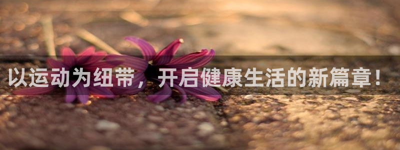 米兰体育官方正版app娱乐是那个系列的台子